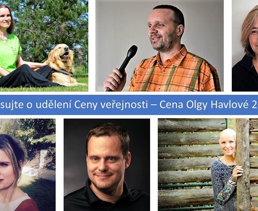 Online hlasování o Ceně veřejnosti